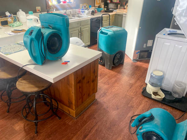 Best Water damage repair service  in South Greensburg, PA