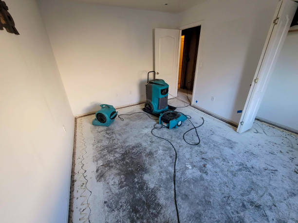 Best Local water damage restoration  in South Greensburg, PA