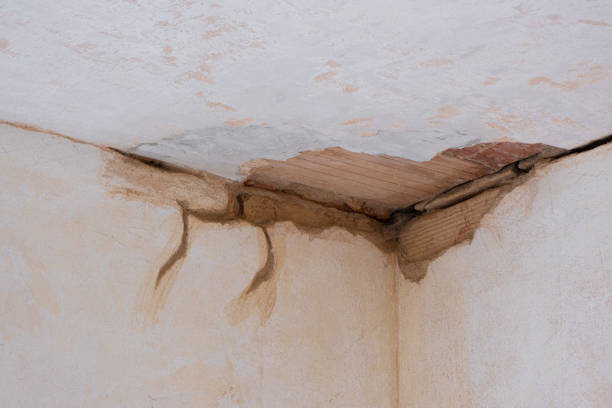 Best Sewage cleanup and water damage restoration  in South Greensburg, PA