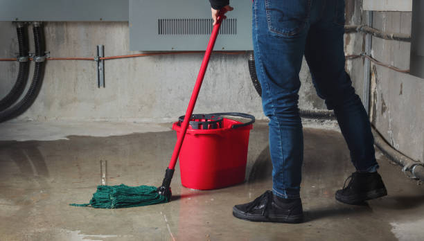 Best Flood damage cleanup  in South Greensburg, PA