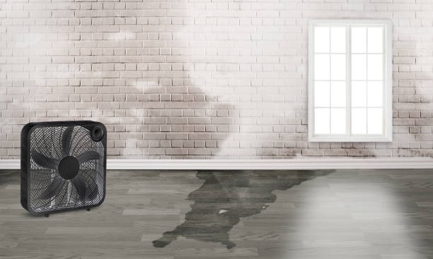 Best Residential water damage restoration  in South Greensburg, PA