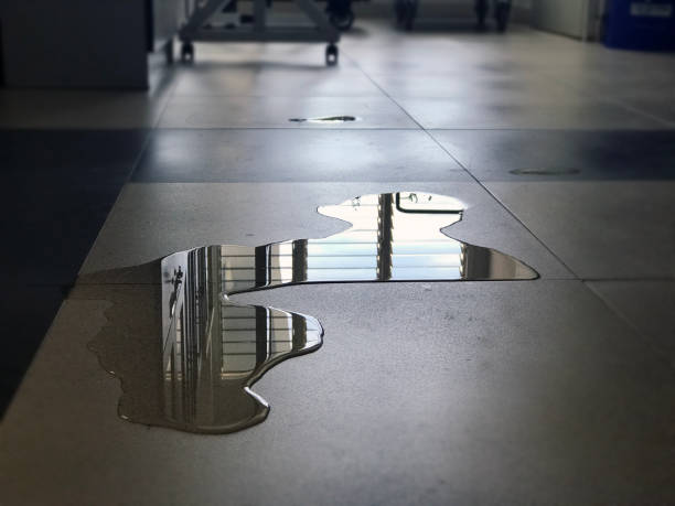 Best Water damage contractors near me  in South Greensburg, PA