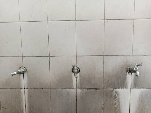 Best Ceiling water damage repair  in South Greensburg, PA