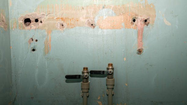 Best Mold removal after water damage  in South Greensburg, PA