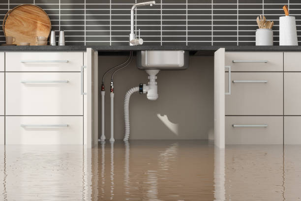 Best Commercial water damage restoration  in South Greensburg, PA
