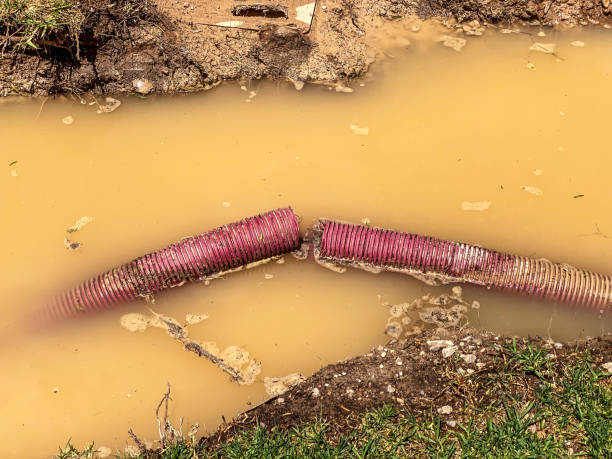 Best Residential water damage restoration  in South Greensburg, PA
